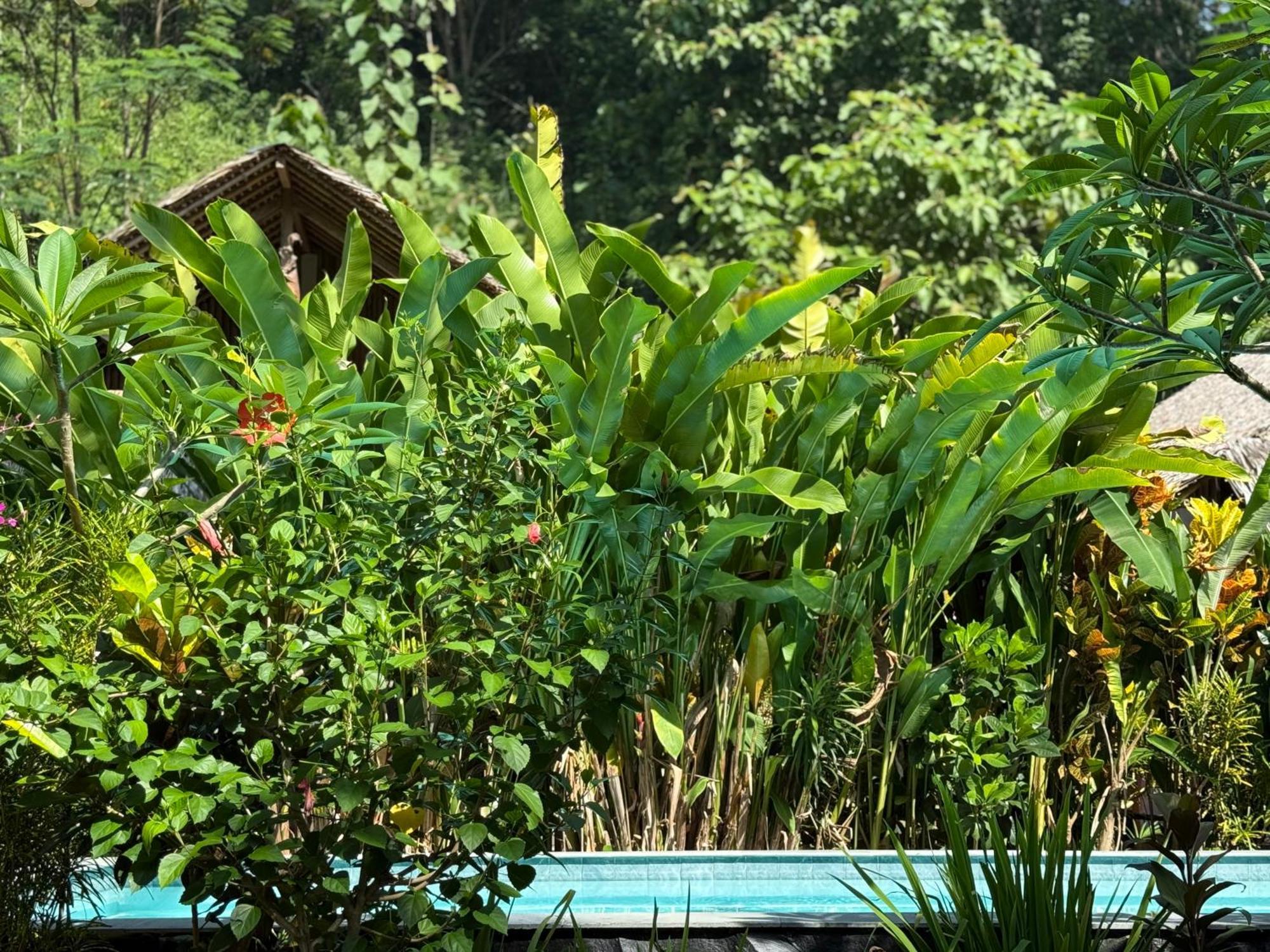 Rnv Eco Resort Bungalows Batukaras Esterno foto